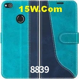 Promoções Sazonais 8839